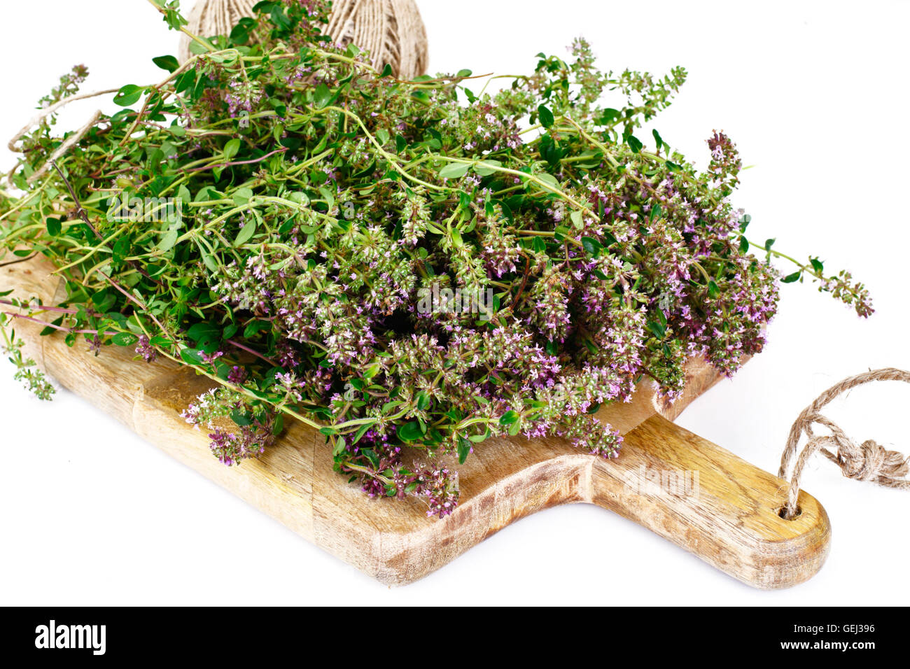 Flowers and Stems of Thyme Stock Photo Alamy