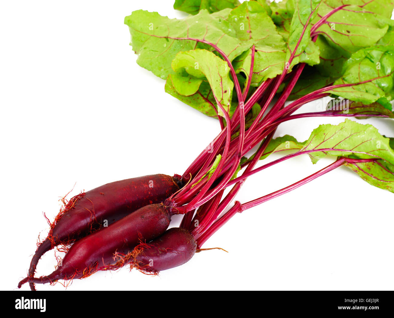 Fresh Young Beets Stock Photo