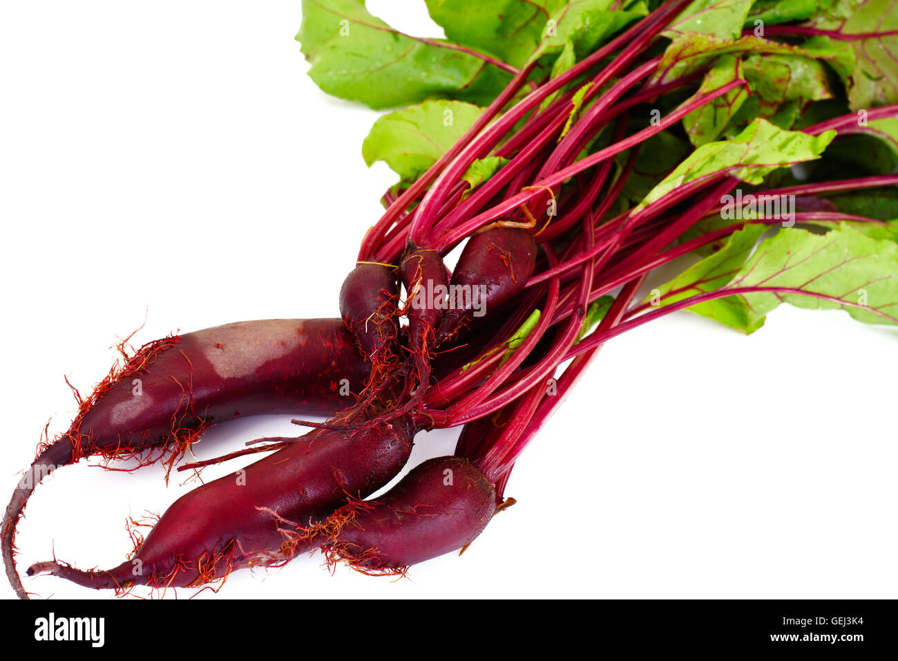 Fresh Young Beets Stock Photo