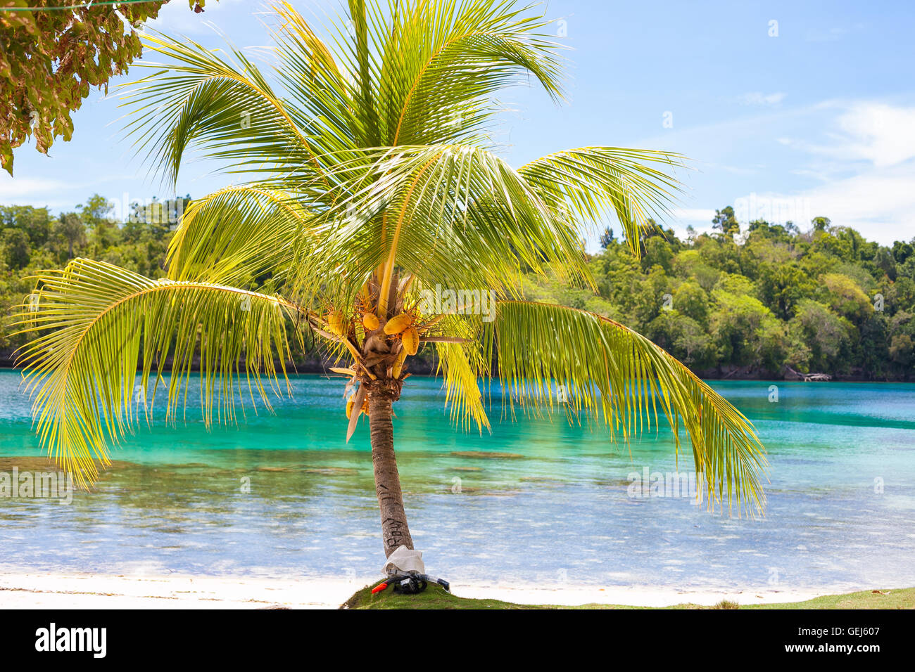 Photo Untouched Tropical Beach in Bali Island. Palm with fruits. Vertical Picture. Fishboat Blurred Background. Snorkeling Equipment. Stock Photo