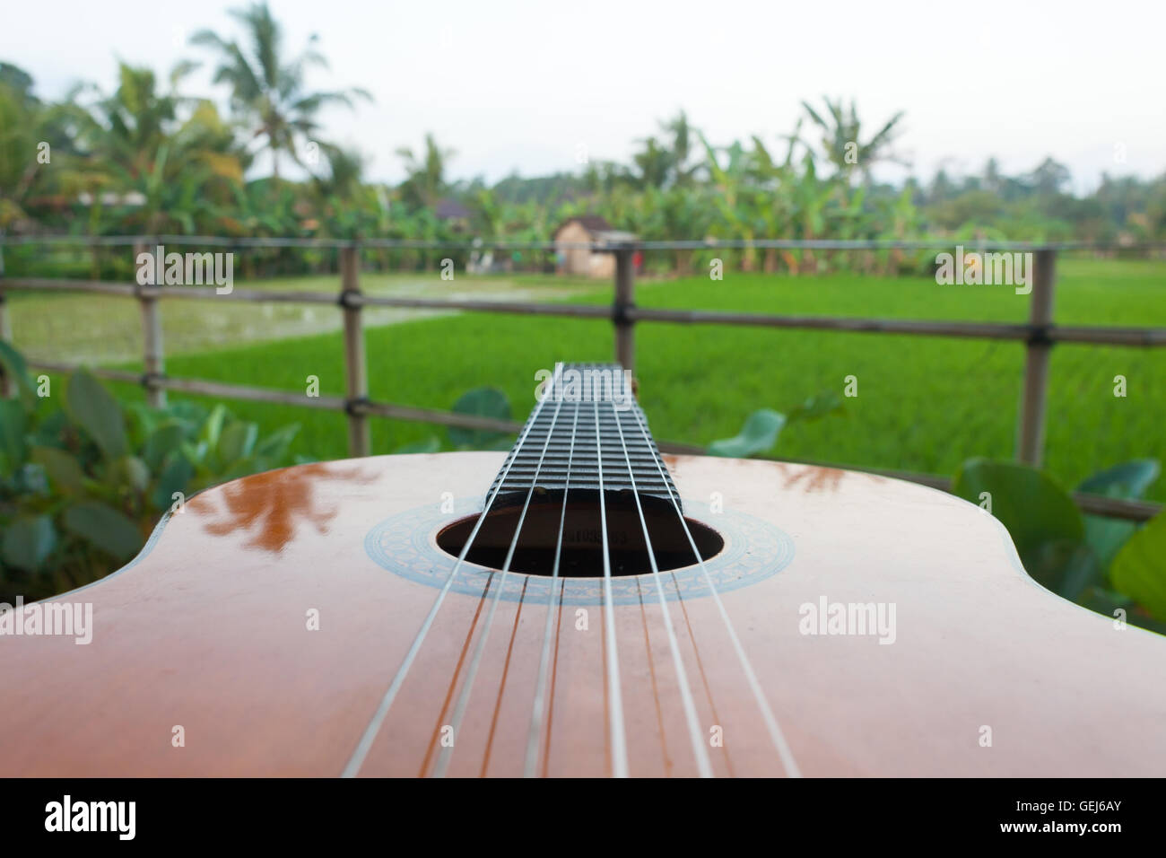 Acoustic guitar on a outdoor blurred background. Stock Photo