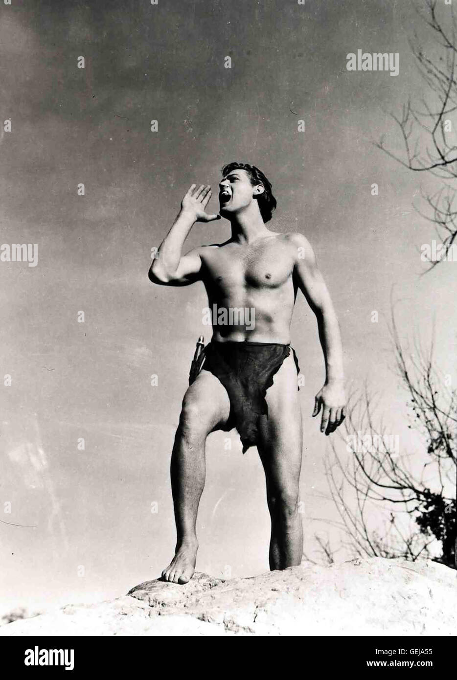 Yalangoch kino aktrisalarining xorijiy fotosuratlari Uyda tombul qizlar yalangoch yurishadi