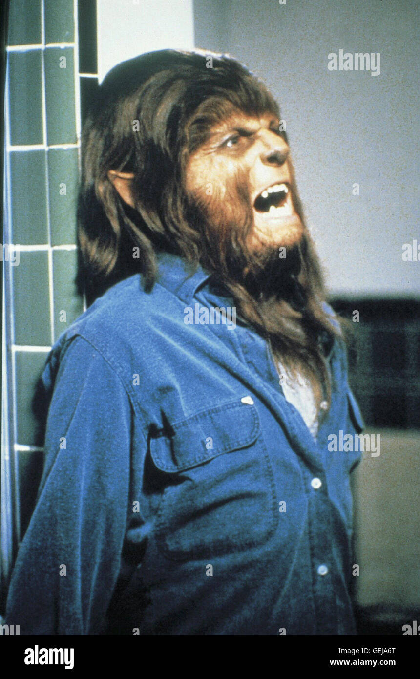 Michael J. Fox *** Local Caption *** 1985, Teen Wolf, Teen Wolf Stock Photo