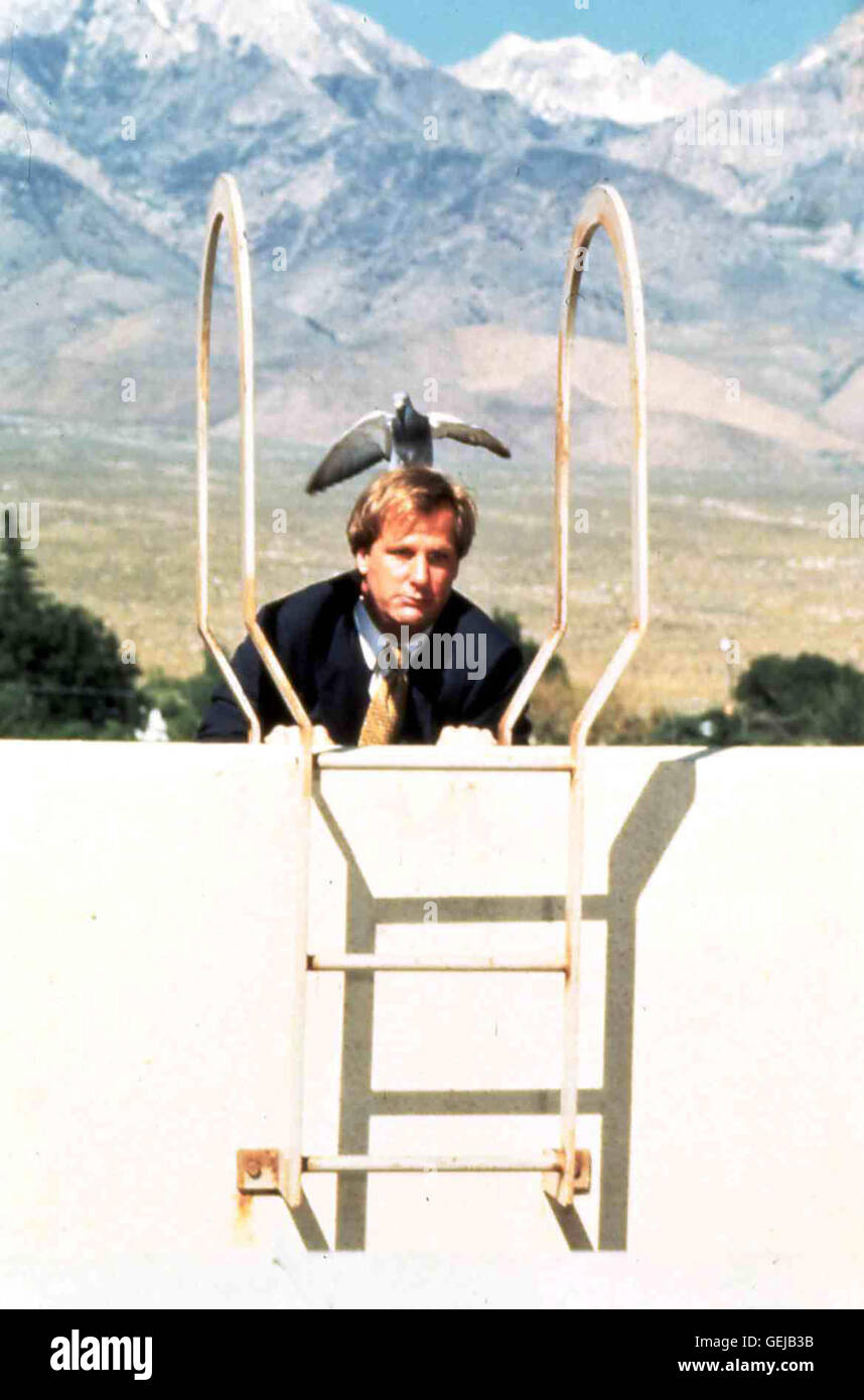 Jeff Daniels Charlie Tuttle (Jeff Daniels) *** Local Caption *** 1997 ...