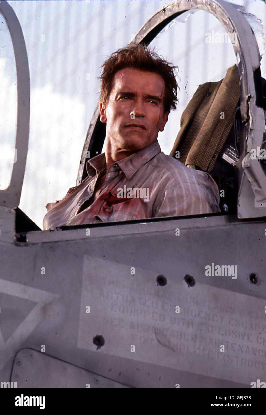 Arnold Schwarzenegger   Das Multi-Talent Harry Tasker (Arnold Schwarzenegger) fuehrt ein aufregendes, gefaehrliches Leben als Geheimagent. *** Local Caption *** 1994, True Lies, True Lies - Wahre Luegen Stock Photo