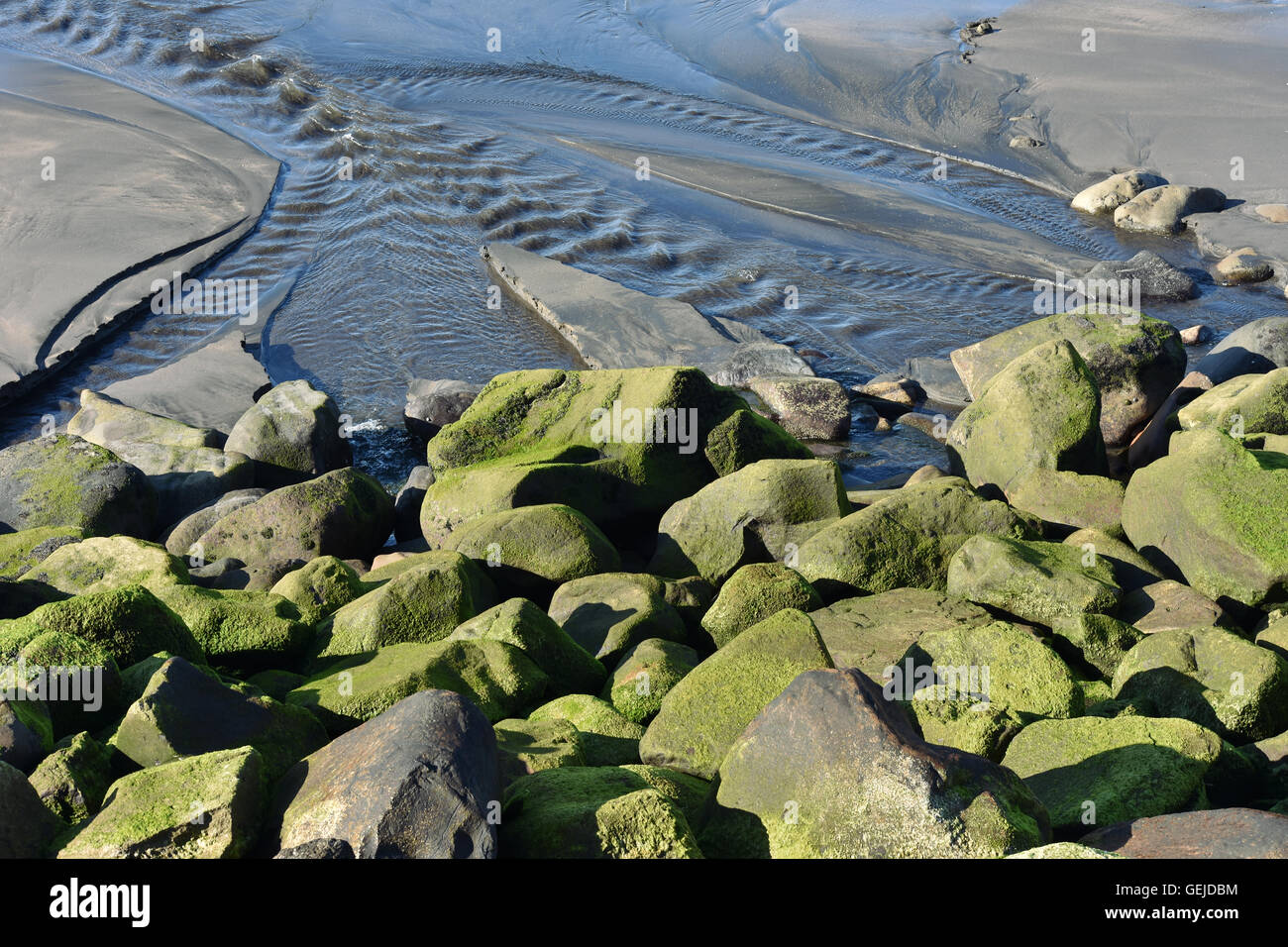 Green algae covered rock and beach sand with streams of water Stock ...