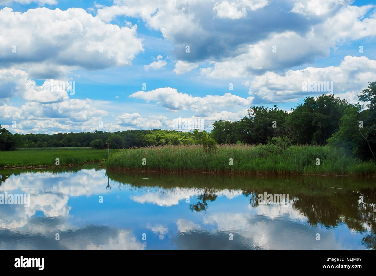 Green trees by the lake hi-res stock photography and images - Alamy
