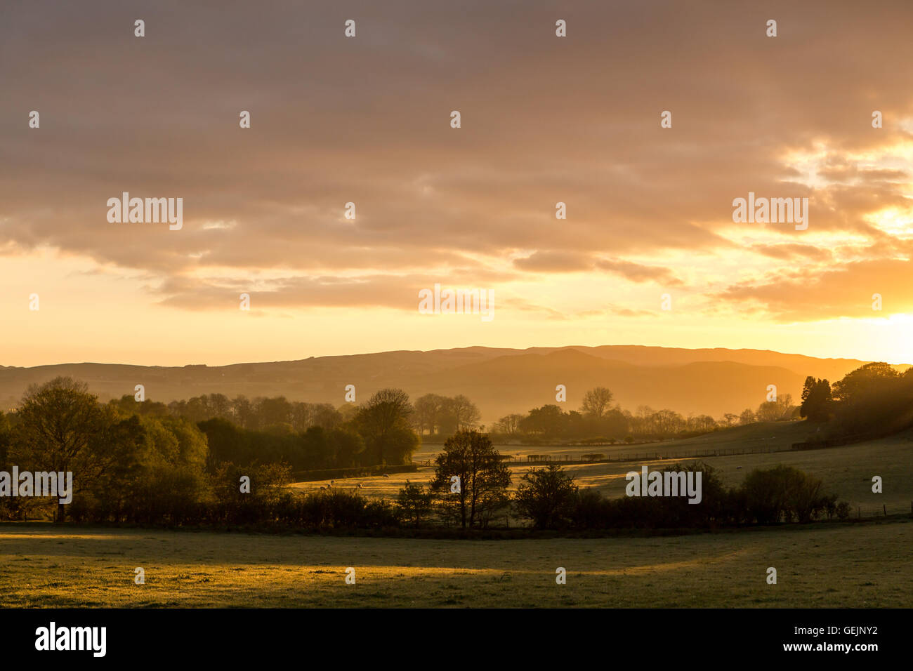 Landscape cloudy sky trees hi-res stock photography and images - Alamy