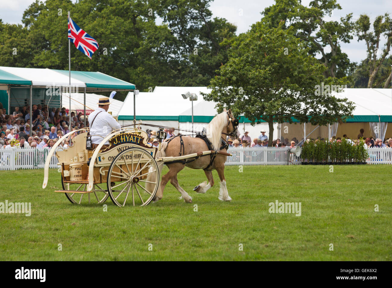 Brockenhurst new forest riding hi-res stock photography and images - Alamy