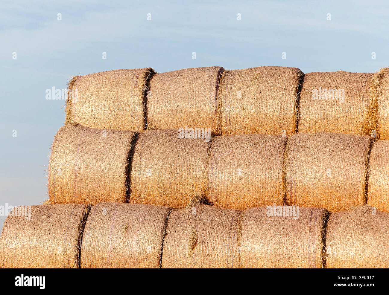 stack of straw in the field Stock Photo Alamy