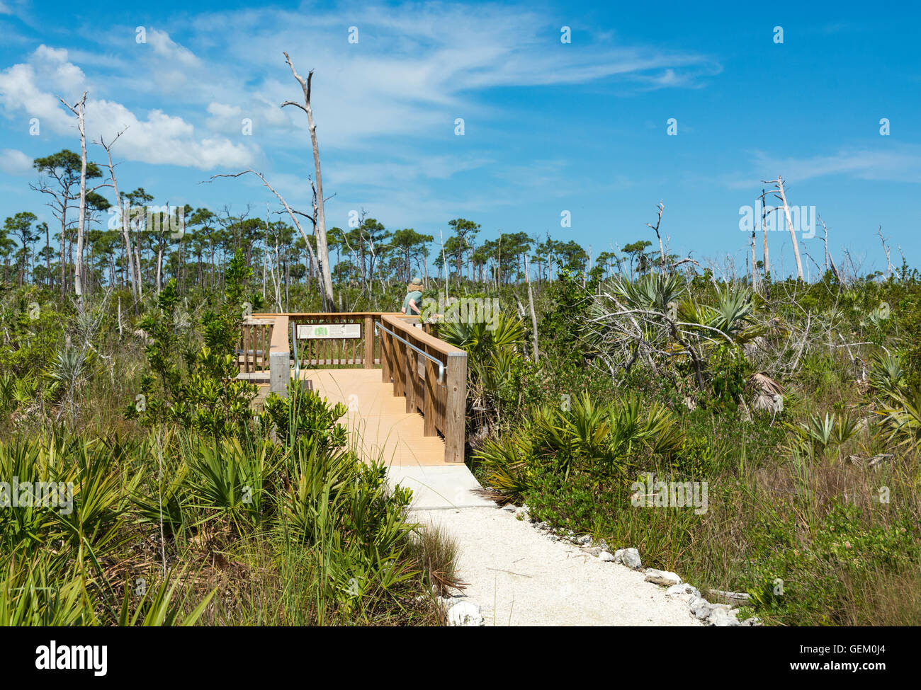 Florida, Big Pine Key, National Key Deer Refuge, Frederick C. Mannillo Jr. Nature Trail, viewing platform Stock Photo