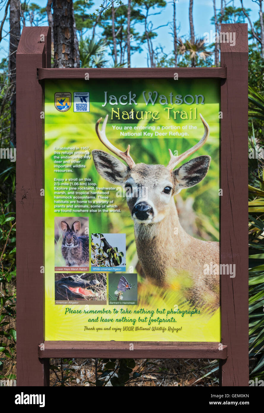 Big Pine Key Deer Refuge