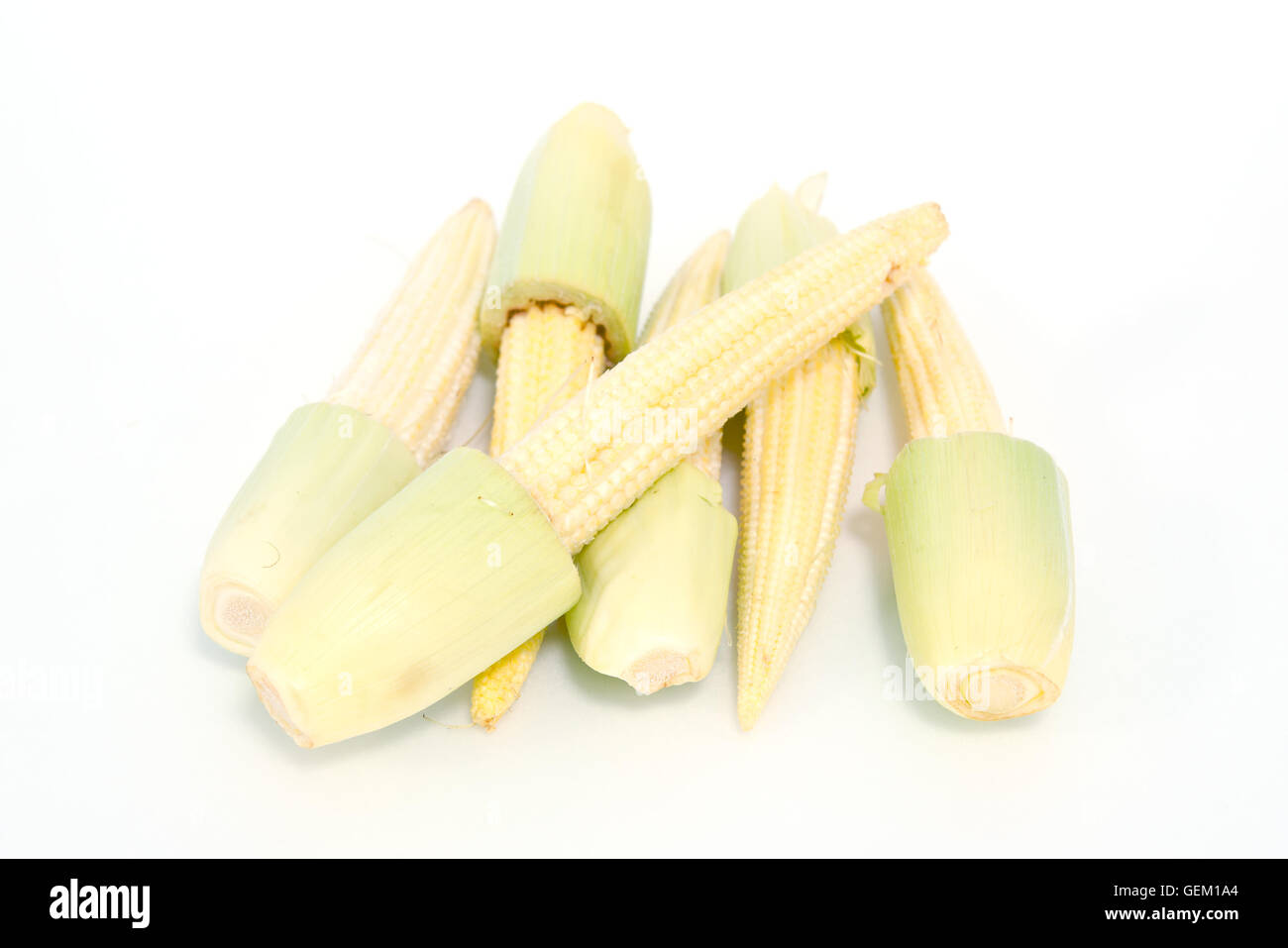 Baby corn fruit (also known as young corn, mini corn, cornlettes, candle corn, Zea mays L, Gramineae) grouped and isolated on wh Stock Photo
