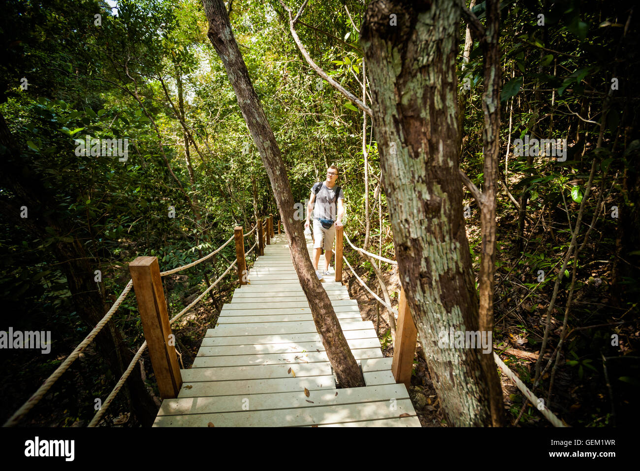 Jungle trekking on tropical island Koh Phangan in Thailand. Nature of ...