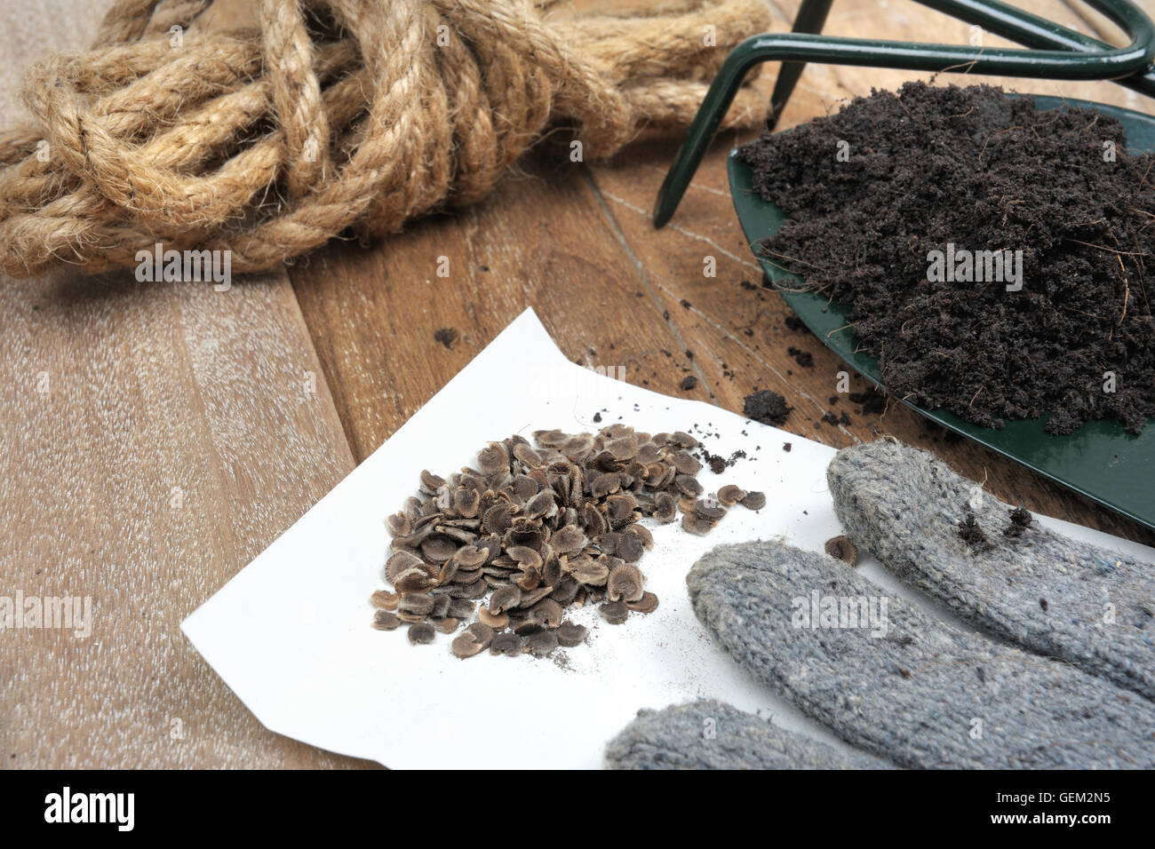 seeds and gardening tools on wooden plank Stock Photo - Alamy