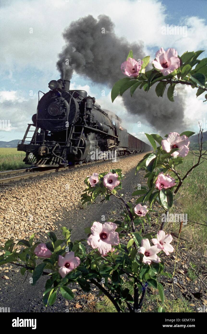 2 C 2 Cylinder Steam Locomotive Brazil Brasil ca 1910