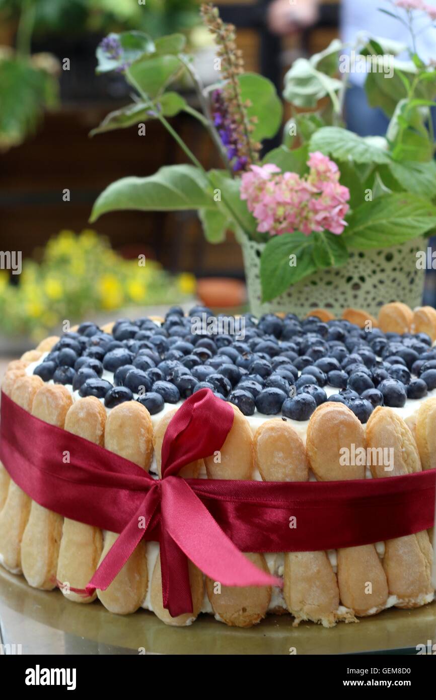 Cake with blueberries Stock Photo - Alamy