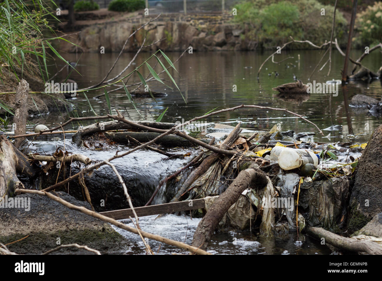 Garbage and rubbish clogging up the waterways of Melbourne Stock Photo