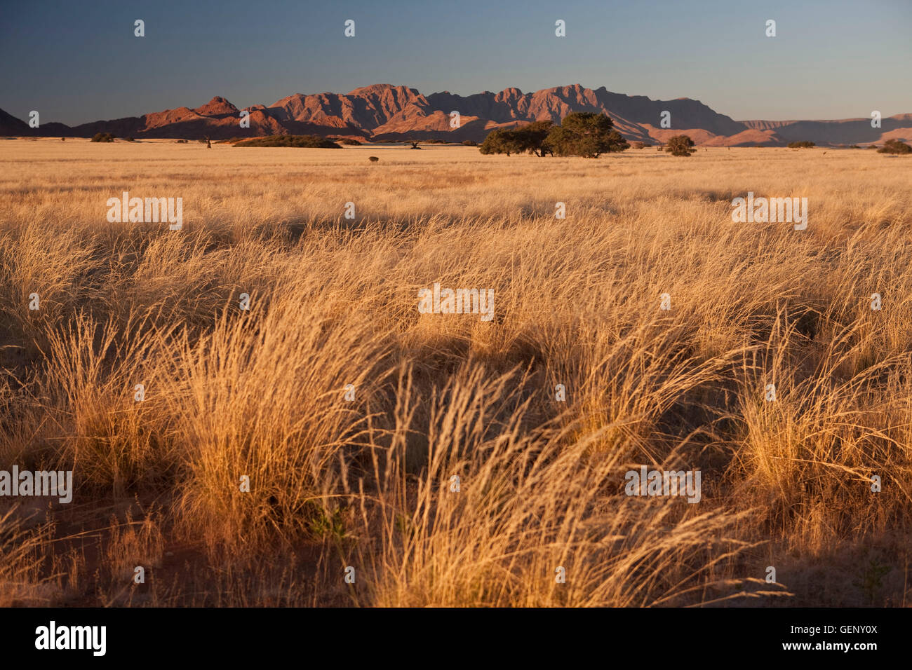 Namib Naukluft National Park, Namib Desert, Namibia Stock Photo