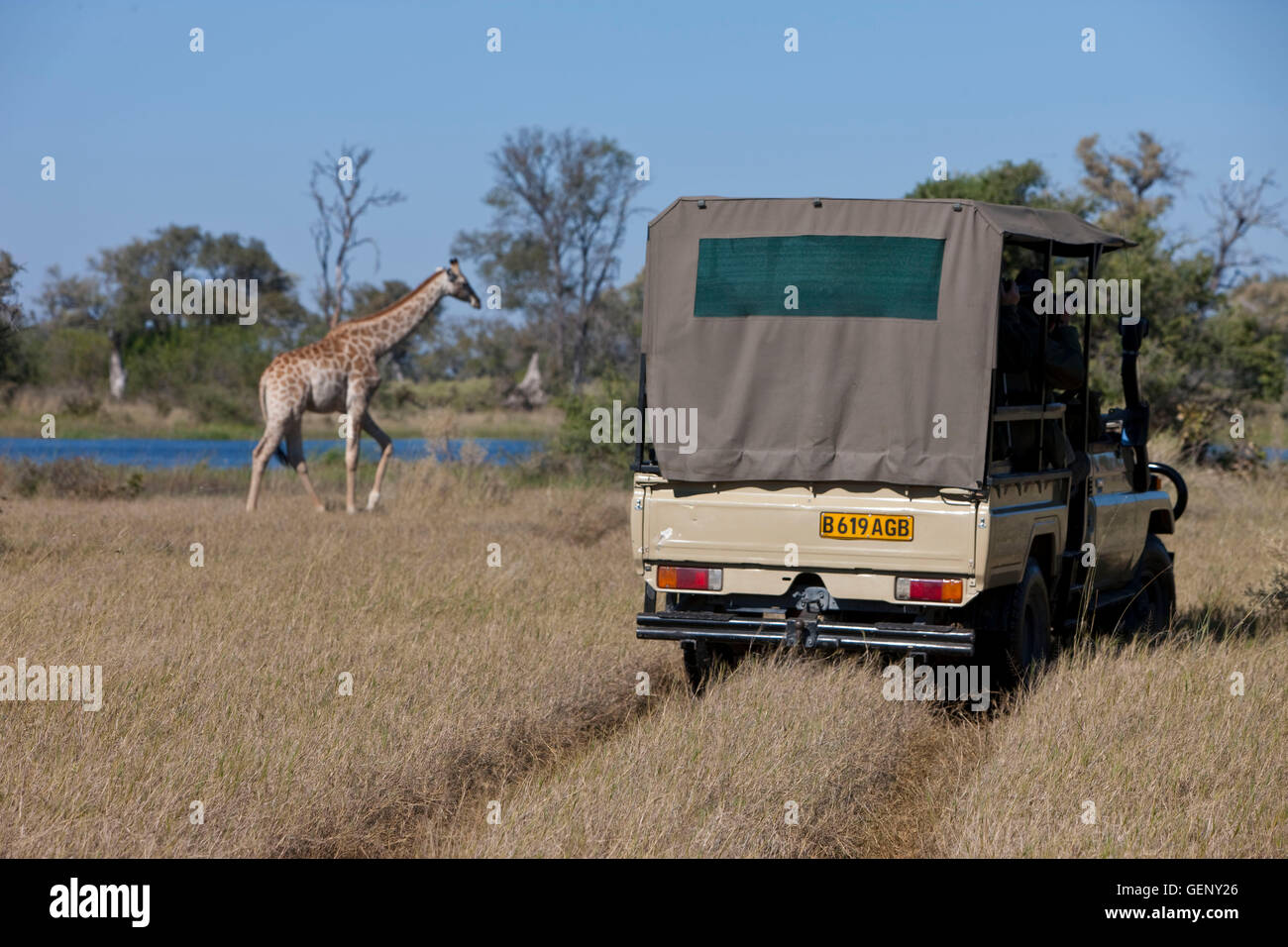Moremi game reserve, Namibia Stock Photo