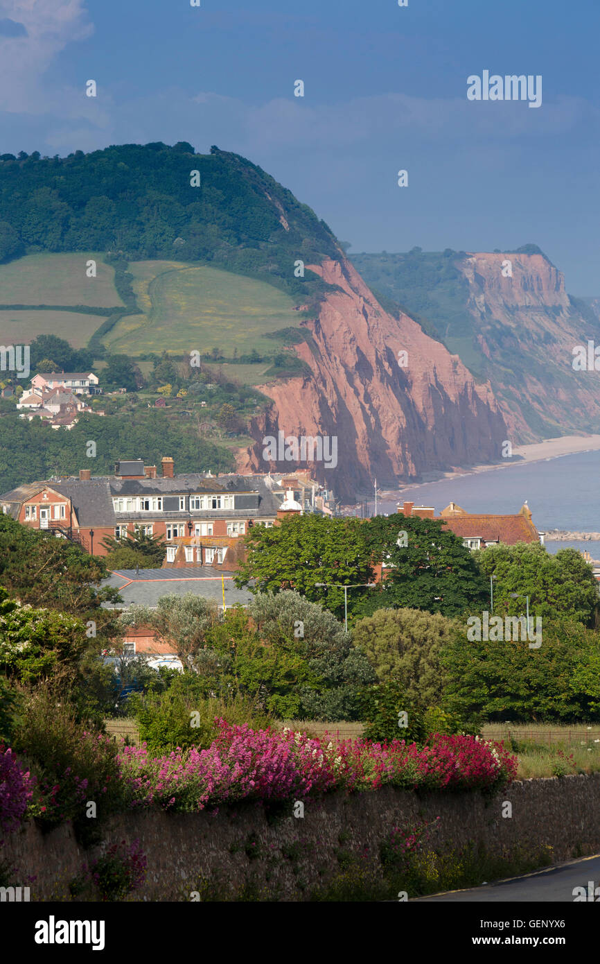 UK, England, Devon, Sidmouth town and Salcombe Hill cliffs, elevated view from Peak Hill Stock Photo