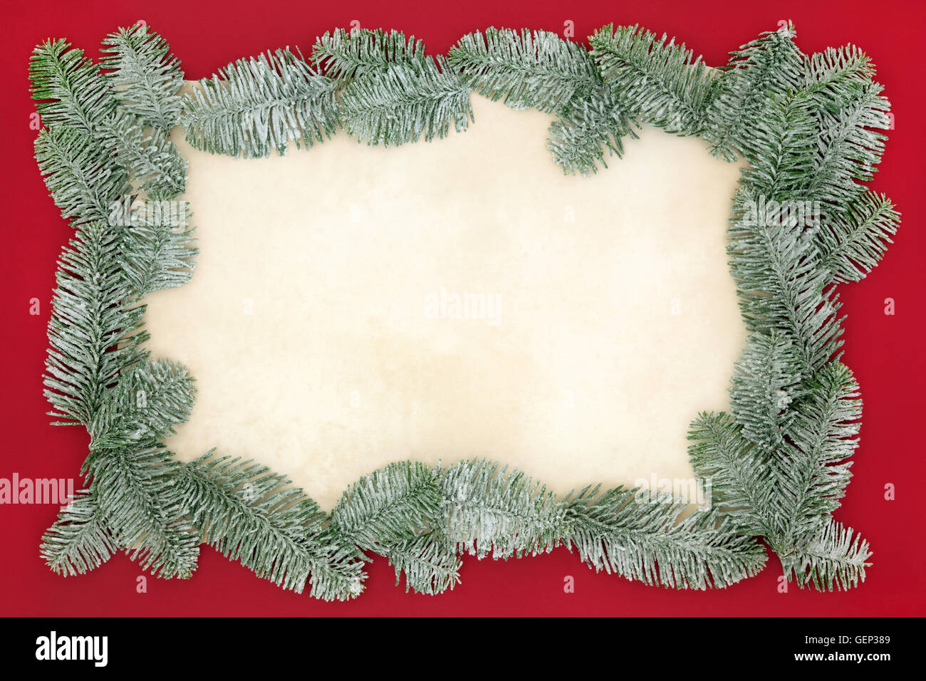 Christmas abstract background border with snow covered blue spruce fir on  old parchment paper over red Stock Photo - Alamy