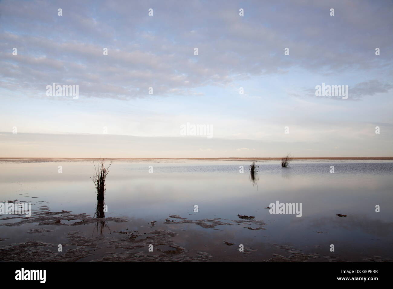 geography / travel, Germany, Lower Saxony, North Sea, Cuxhaven, Wadden Sea National Parks, mud flats during ebb in the morning light, trail marker, Stock Photo