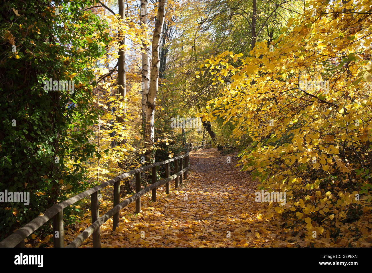 geography / travel, Germany, Lower Saxony, Harz Mountains, Goslar, palace garden, Stock Photo