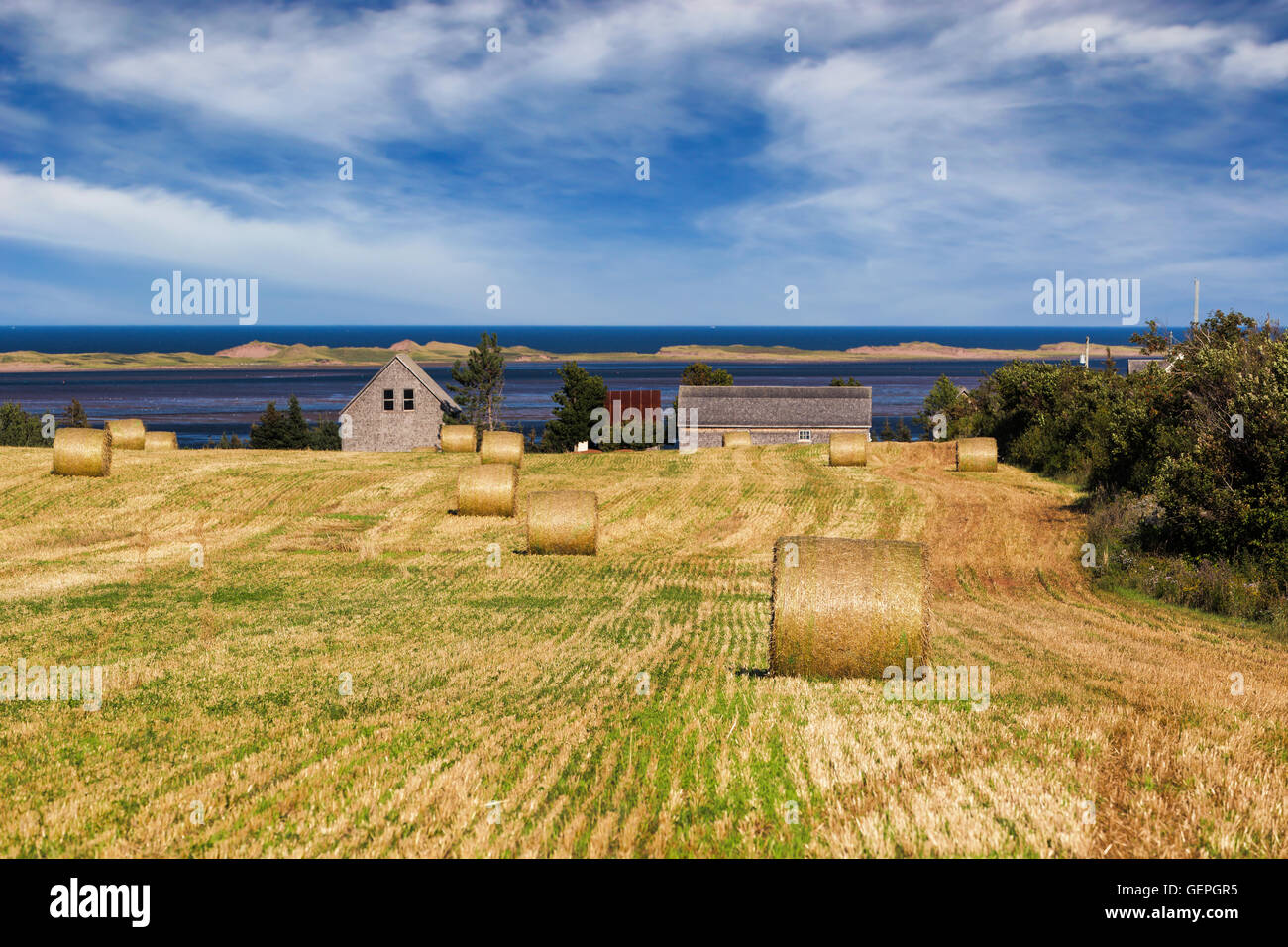 Pei rural hay bales ocean hires stock photography and images Alamy