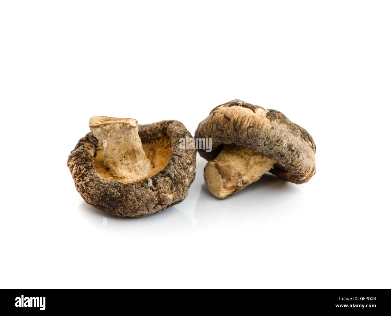 Dry Shiitake Mushrooms isolated on white background Stock Photo Alamy