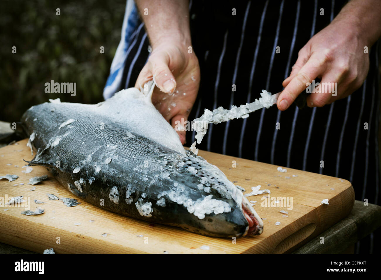 Close up of a chef scaling a fresh fish Stock Photo Alamy