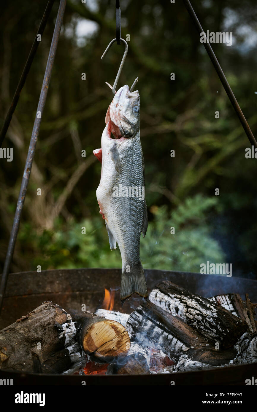 Whole fish grilled over a barbecue. Stock Photo