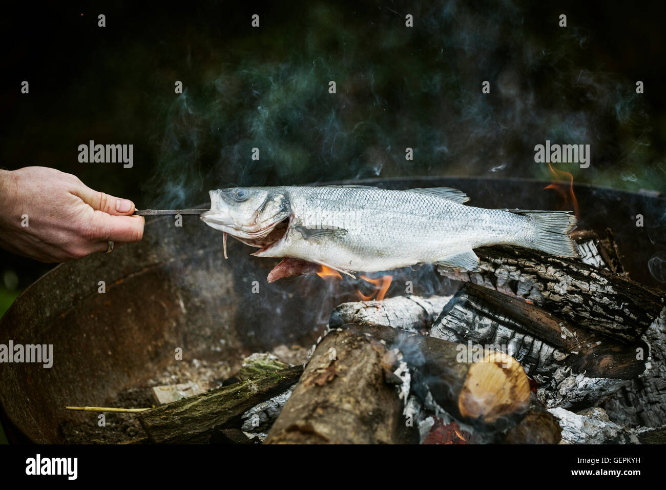 Chef grilling a whole fish on a barbecue. Stock Photo