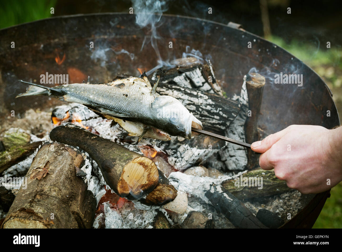 Chef grilling a whole fish on a barbecue. Stock Photo