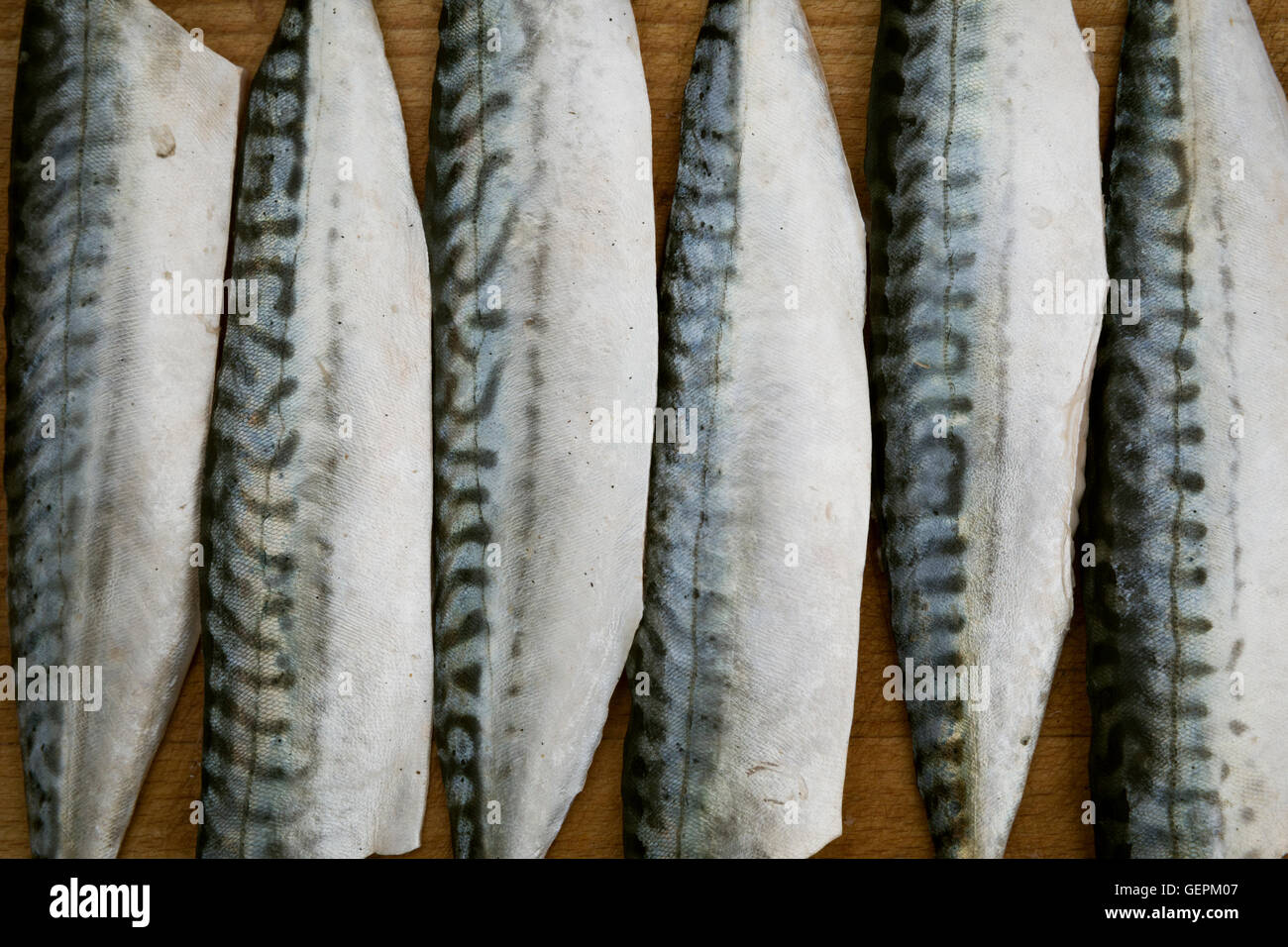 Close up of fresh Mackerel fillets. Stock Photo