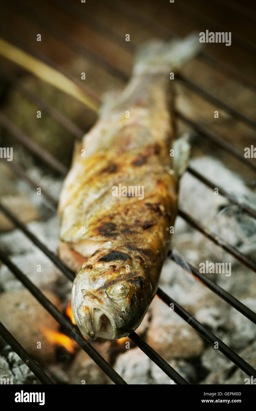 Close up of a grilled fish on a barbecue. Stock Photo