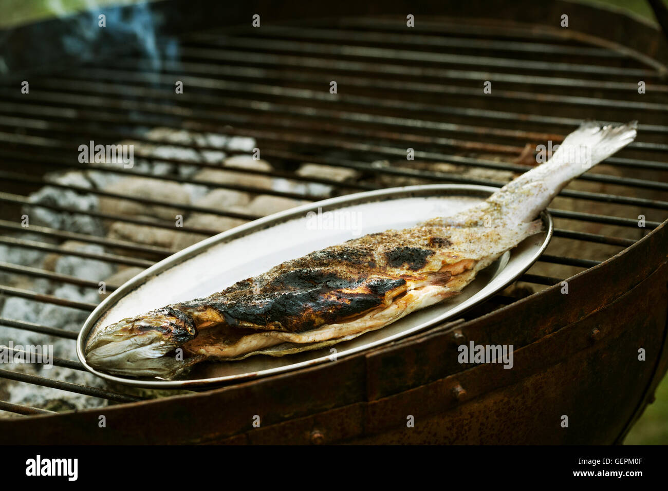 Whole grilled fish on a metal plate standing on a barbecue. Stock Photo