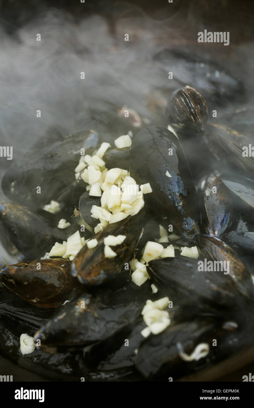 Close up of steamed Black Mussels with garlic. Stock Photo