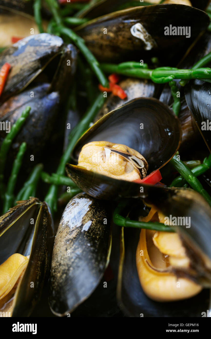 Steamed Black Mussels with samphire. Stock Photo