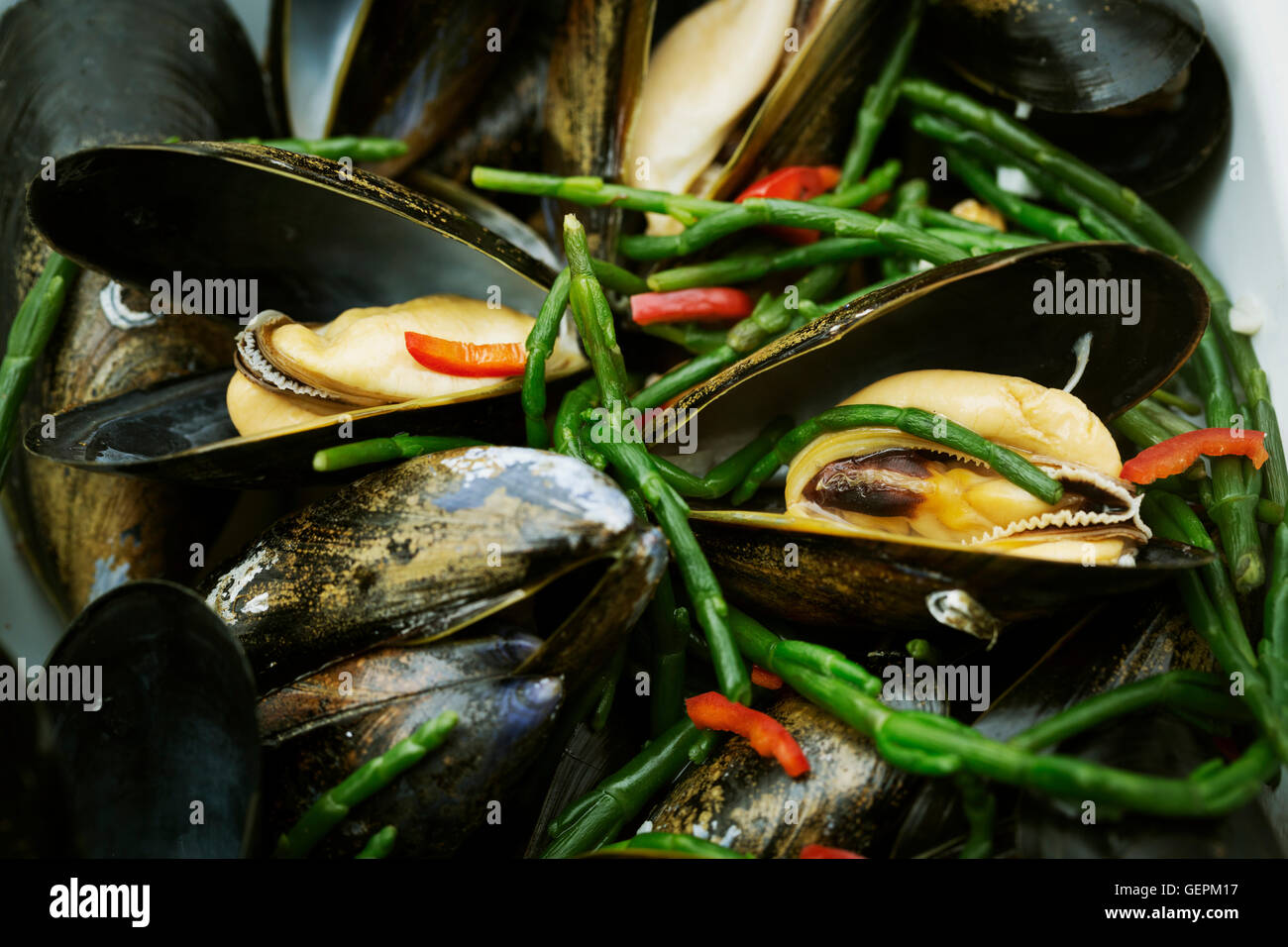 Steamed Black Mussels with samphire. Stock Photo