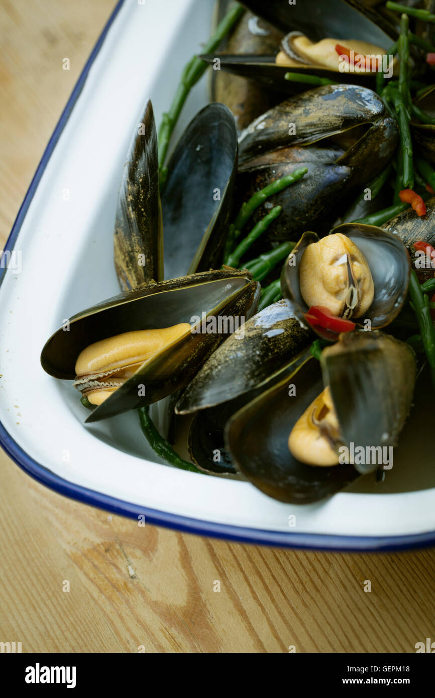 Close up of steamed Black Mussels. Stock Photo