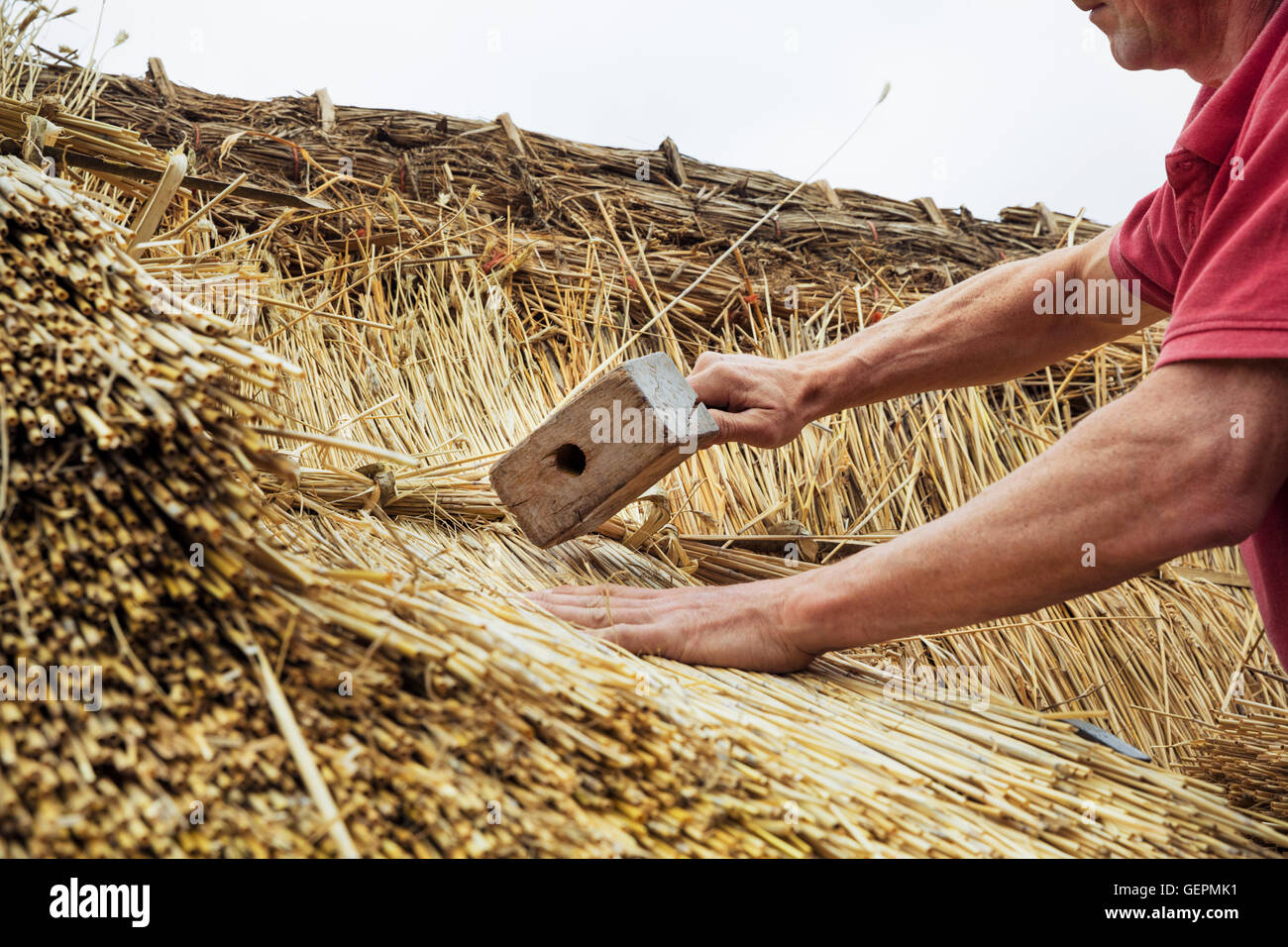 Man thatching a roof, using a wooden mallet to fasten the straw Stock