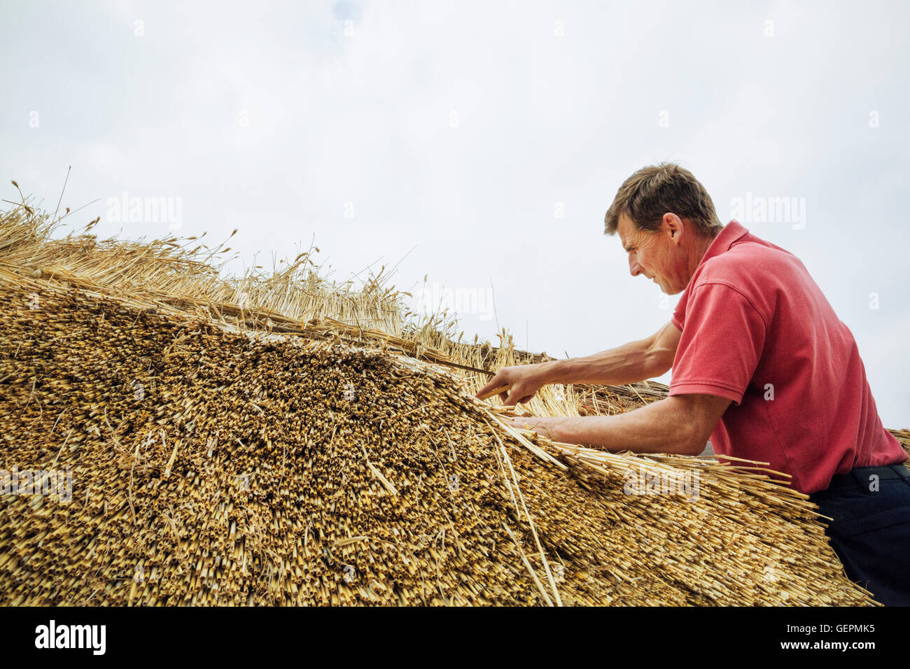 Man thatching a roof, layering the straw. Stock Photo