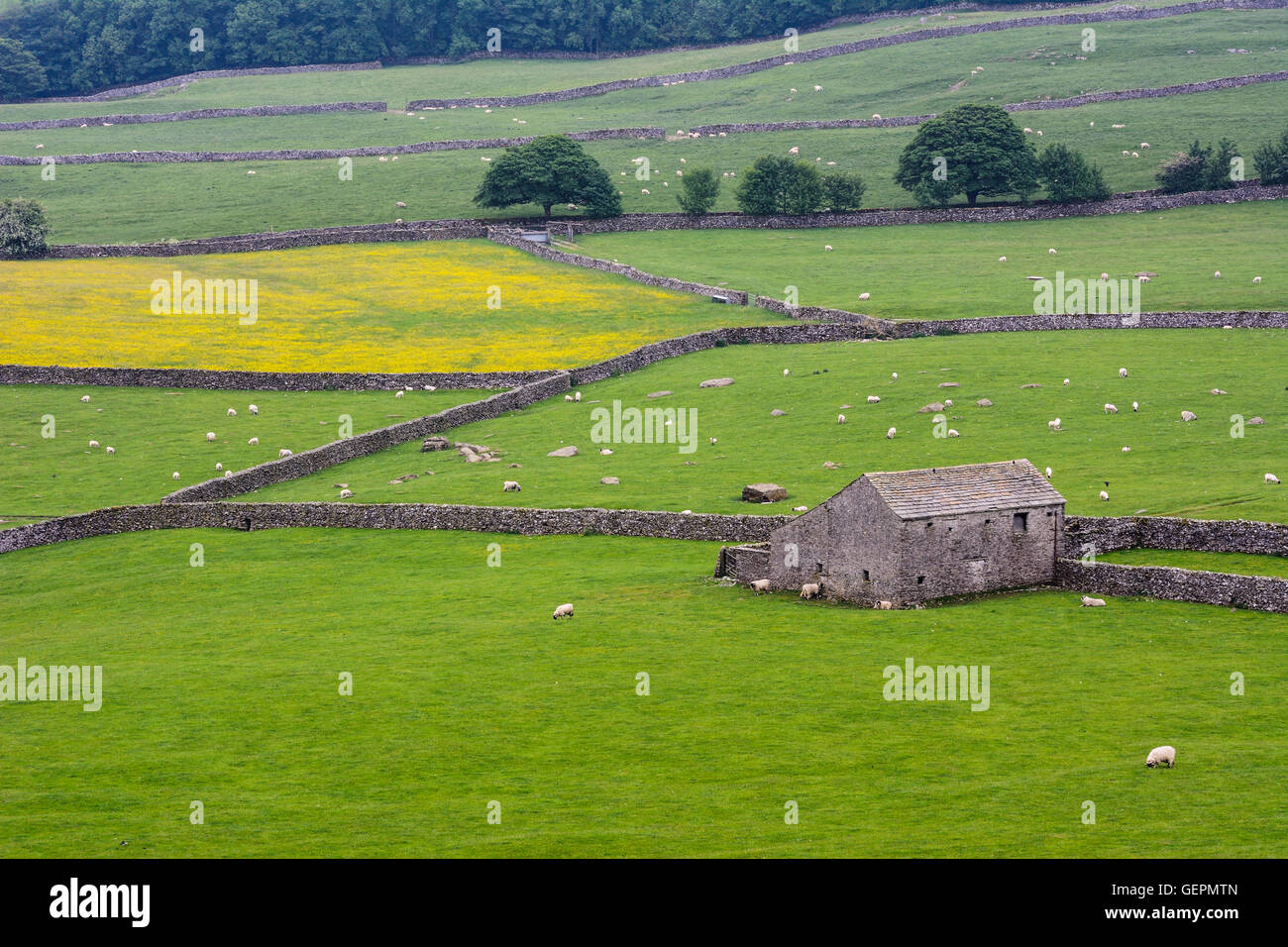 North Yorkshire landscape in the Yorkshire Dales National Park near the village of Austwick near Settle. Stock Photo