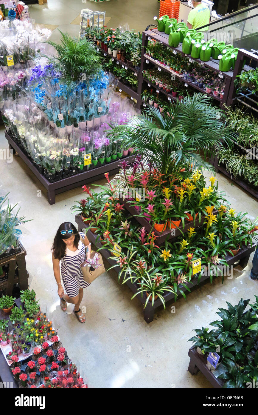 Home Depot Store Garden Center Display, NYC Stock Photo