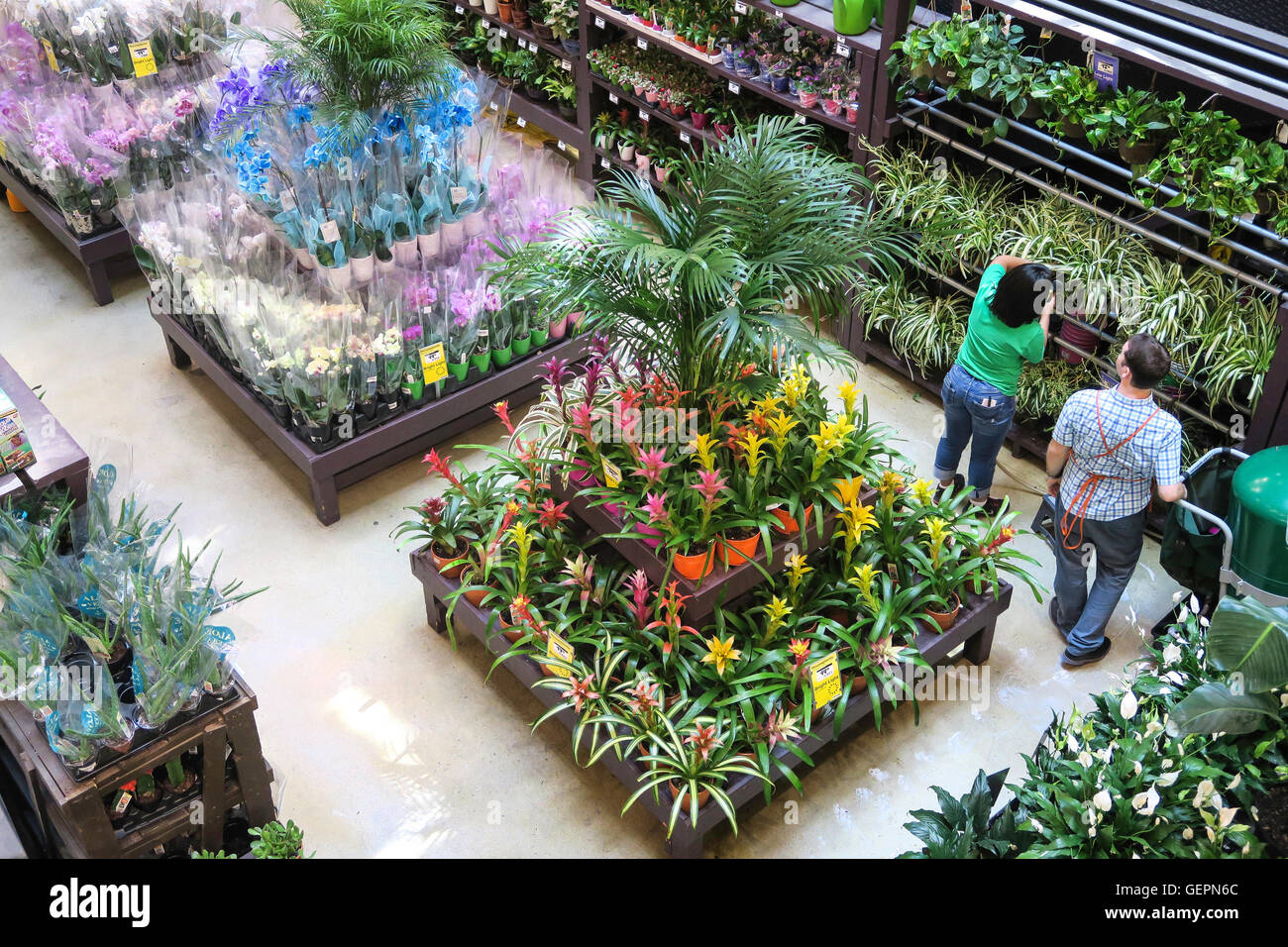 Home Depot Store Garden Center Display, NYC Stock Photo