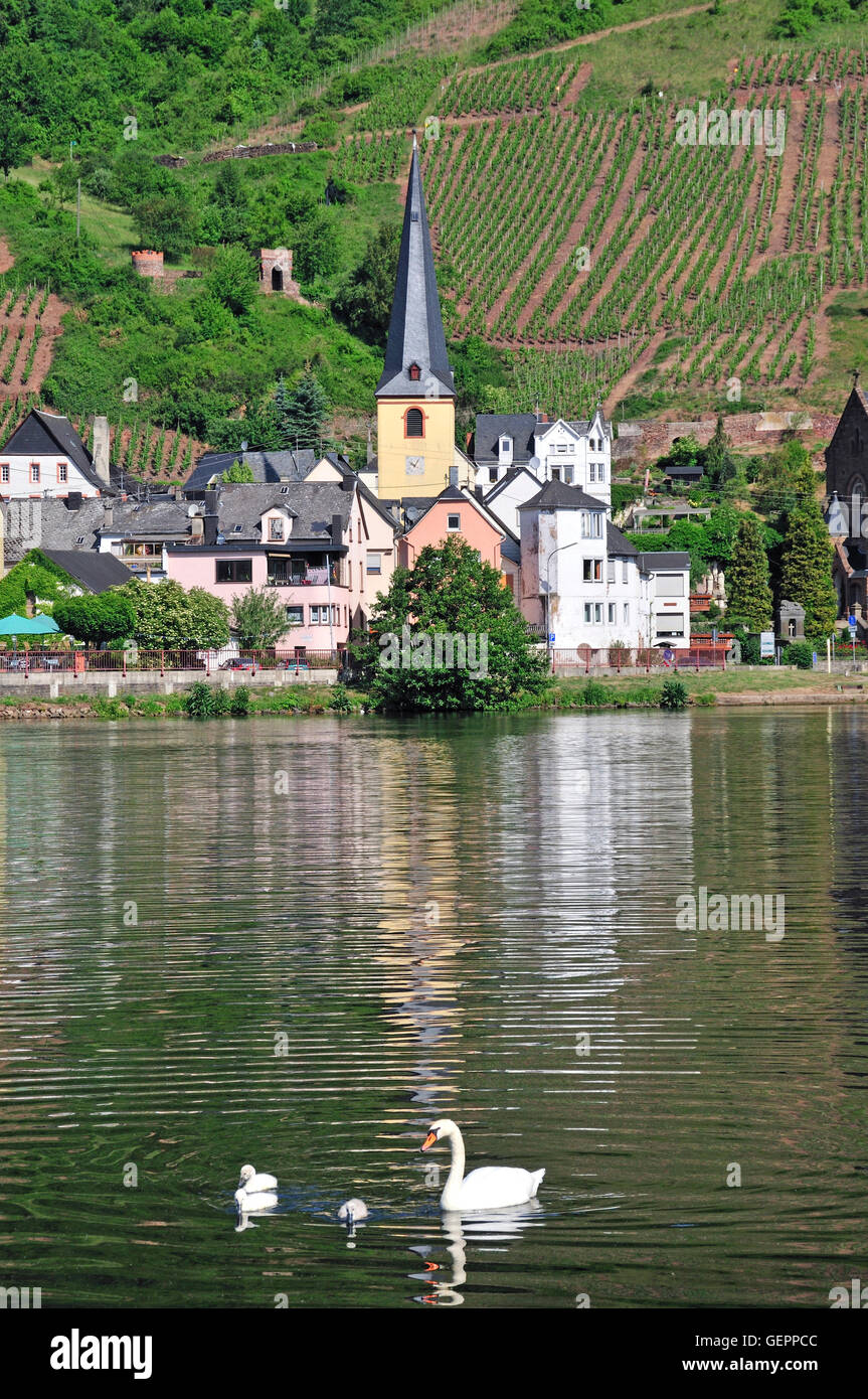geography / travel, Germany, Rhineland-Palatinate, Alf, a local church in the administrative district Cochem-Zell, valley of the Moselle, Stock Photo