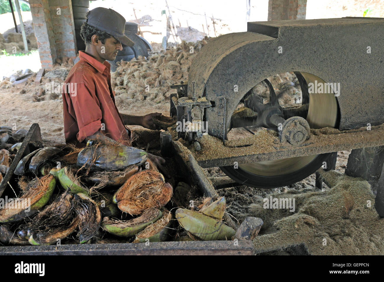 geography / travel, Sri Lanka, industry, extraction of coconut fibres