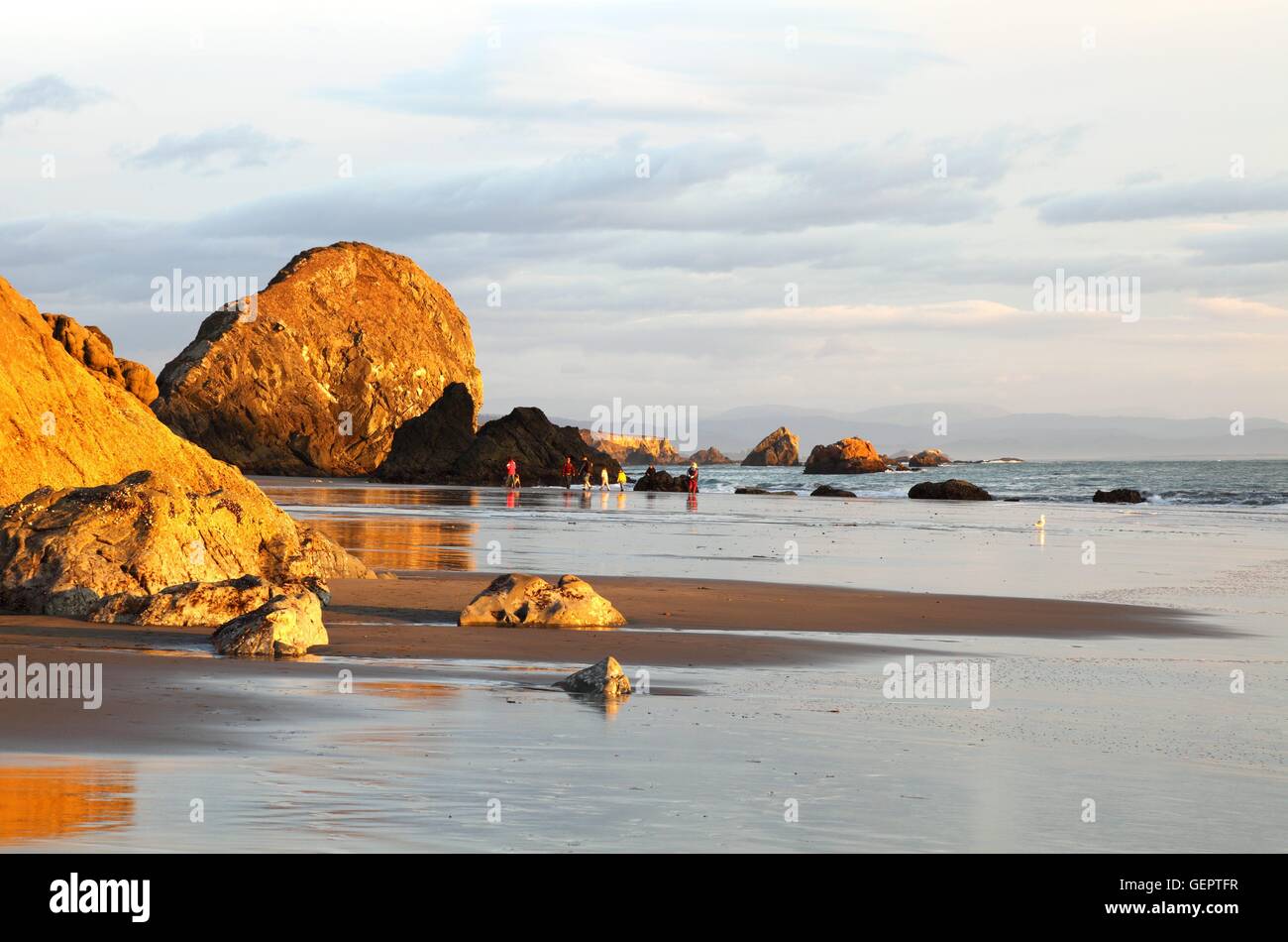 geography / travel, USA, Oregon, Harris Beach, Brookings Stock Photo