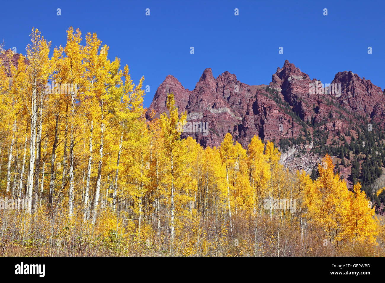 geography / travel, USA, Colorado, Sievers Mountain and Aspen (yellow), Aspen, Stock Photo